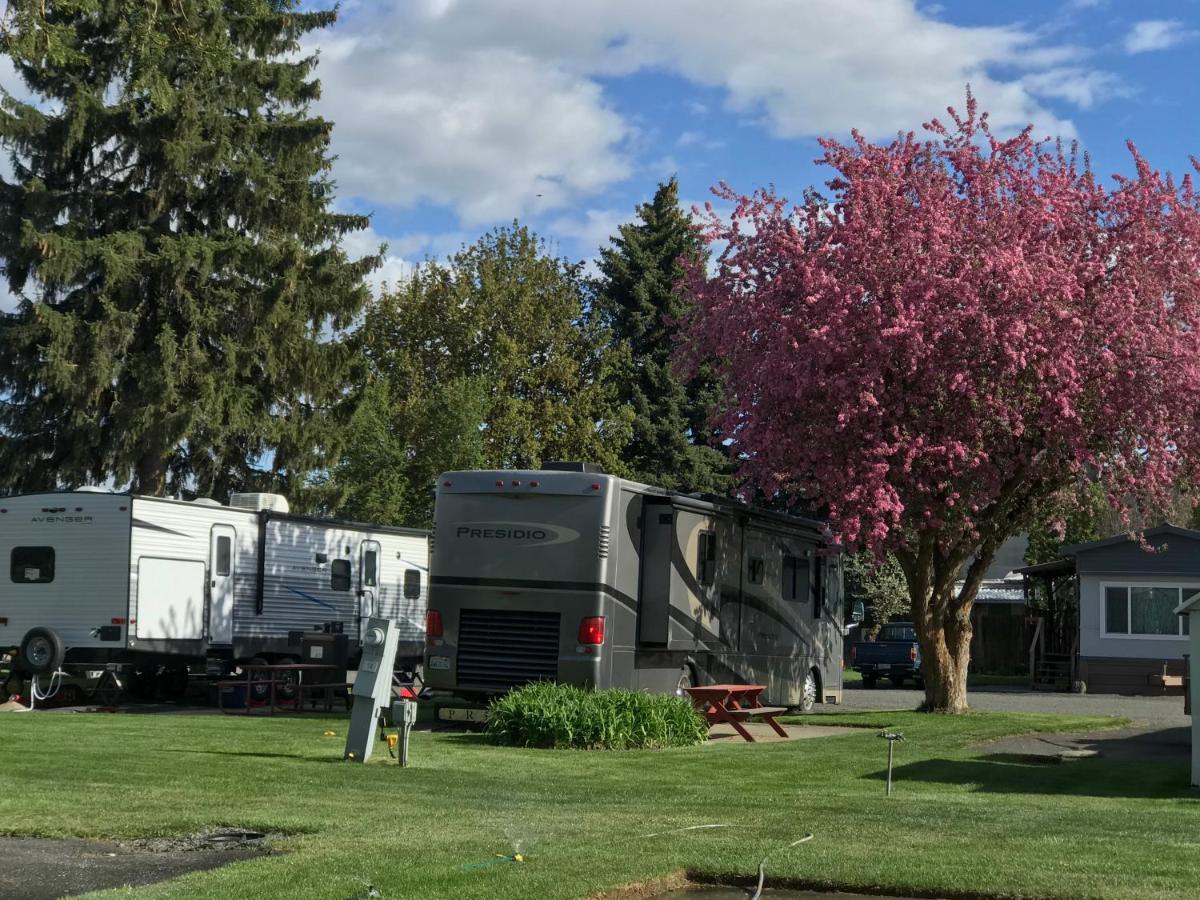 Goose Creek Rv Park & Campground Wilbur Bagian luar foto